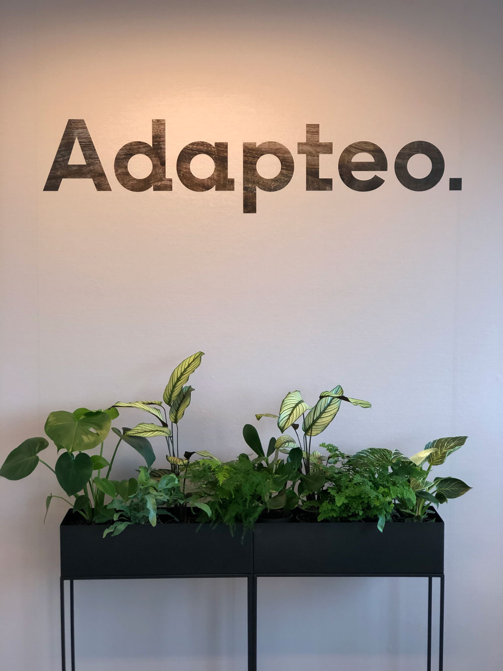 Planter og folielogo hos Adapteo