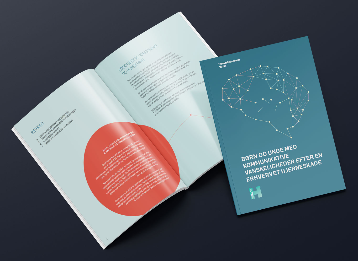 Hjerneskadecenter virum brochure